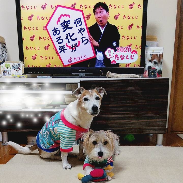 62573440 385b 46a3 b2f4 8f61a81e586f 1578262723406