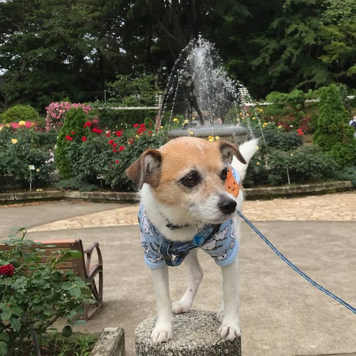 625789f6 5f55 43d0 b07b 4ef55a6f633b 1591496230122