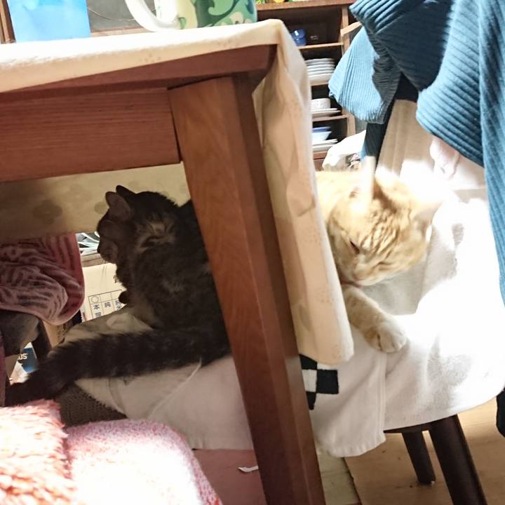 6257ea21 9604 46da 9733 73f4483c12c6 1588190458083