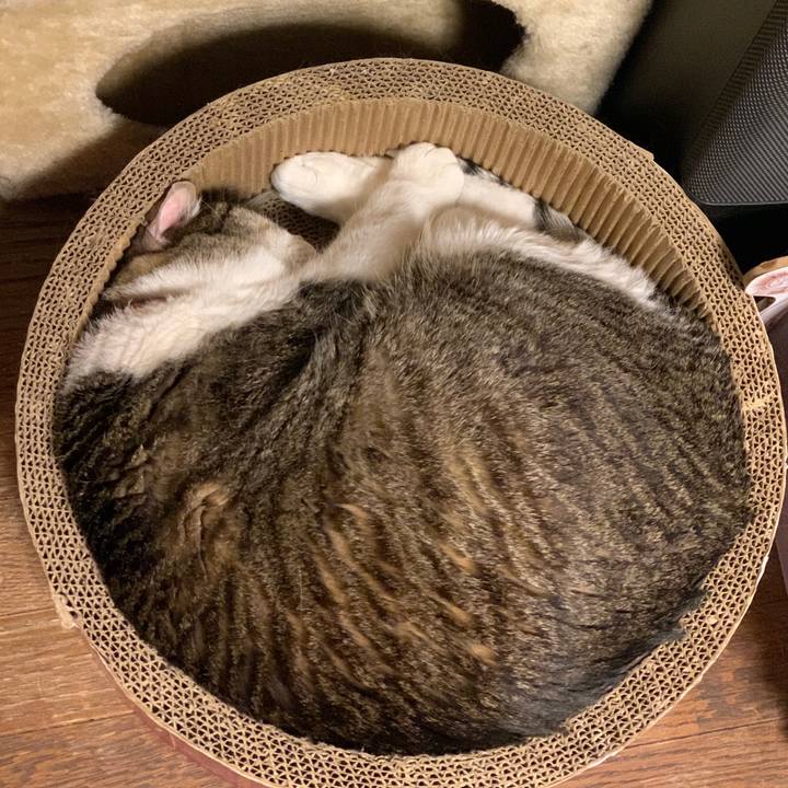 6257f415 e7b4 459b 86f5 2852cb254cb1 1716900967139