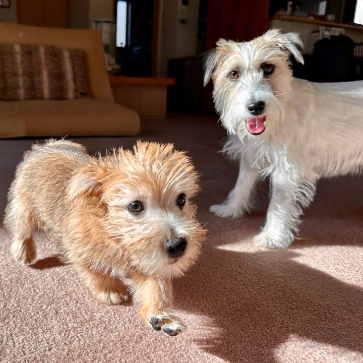 6257f5b2 b904 4069 b7fa 54e1dd9c3008 1701379014621