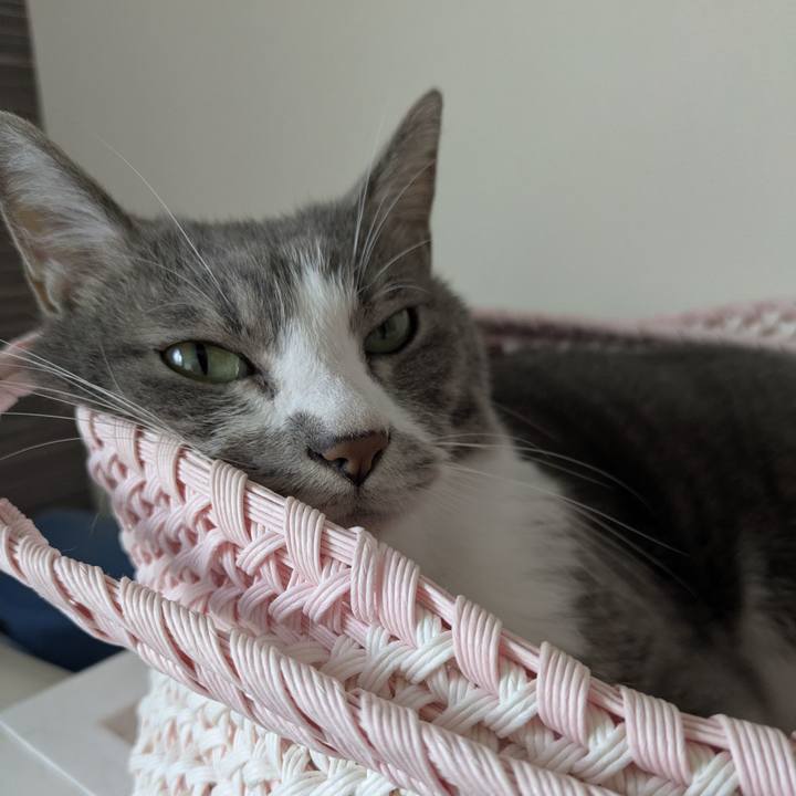 625809a1 e267 4a55 846c 4051520cfb0a 1756165348959