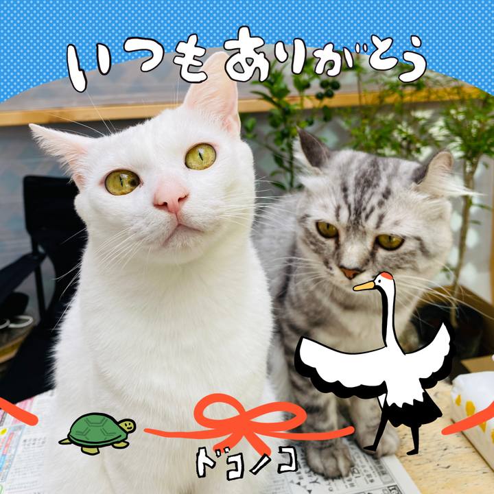 62582bd2 cf24 457b 8250 7d29ad9fa312 1727237334191