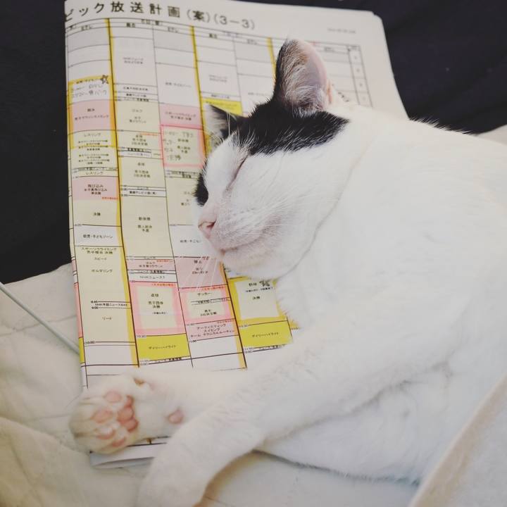 625897e5 79fe 4383 a079 f74caa6c153a 1627466636438