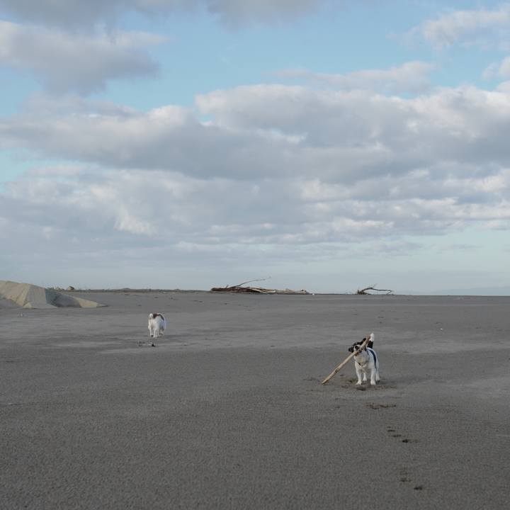 6258c465 30b2 40cb 892e f631cb75ec08 1510282107736