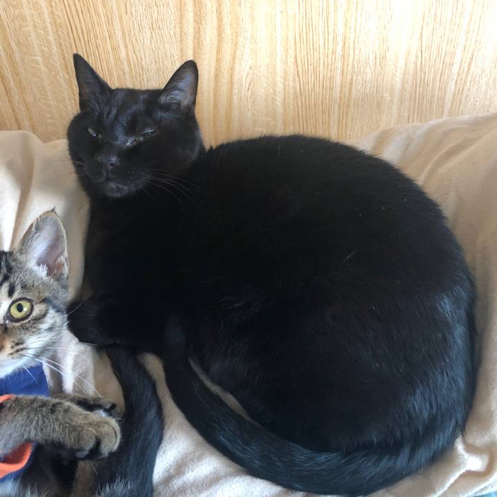 6258d808 ecf9 47d1 8dd2 e5db18614d5f 1731108269695