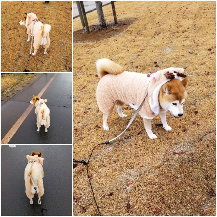 62592194 67a4 41f6 b58c b2cbb2b55cdd 1577165752324