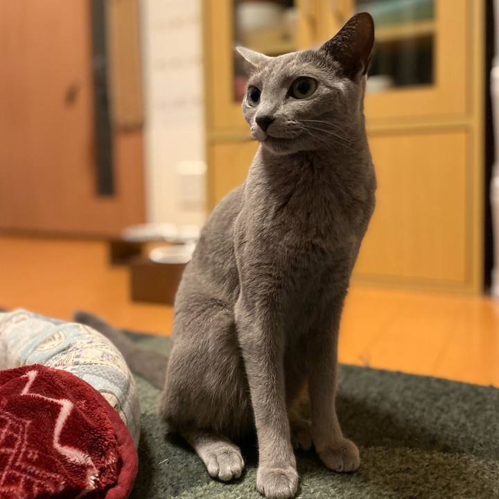 62594bf0 b33c 46a8 a892 7fa7fa634fbb 1679574086373