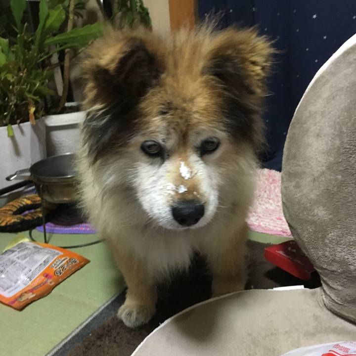 62599c00 9e75 4579 b589 7fe10c2e29df 1614086483541