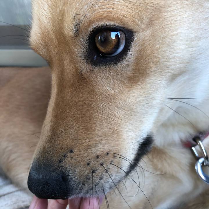 6259d20e 7426 4953 88da 3e58a1a864ba 1528000764610