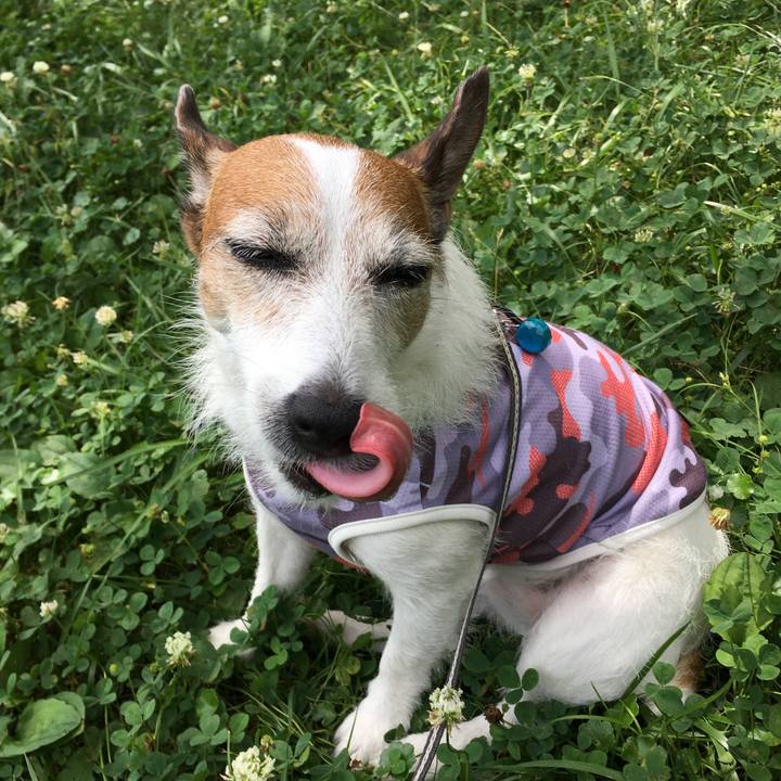 6259d572 0e4d 40e7 b167 9ea4a1ddafc7 1657840994586