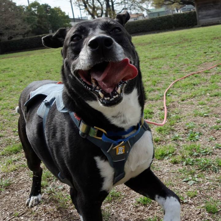 6259e77f 24af 4985 bb7b 8c2998361a54 1712453345983