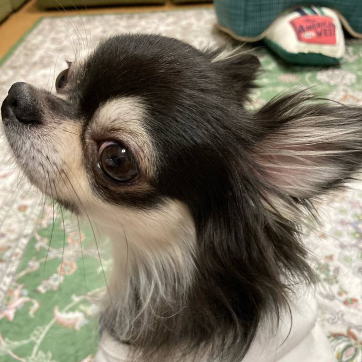 625a912d f39b 4f70 a785 2d2283cf5f9e 1667138740212