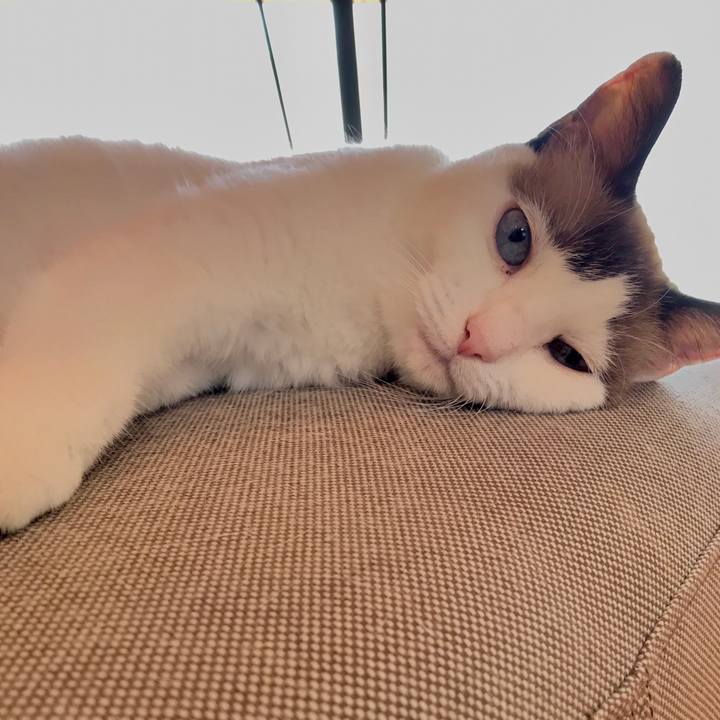 625ac23e a6ef 4d01 811c 898f908520b4 1570021323159