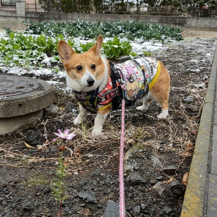 625adb4a bc3e 4520 b216 2e31b2911d46 1764804662655