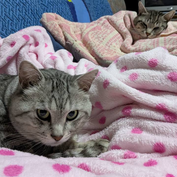 625af4ee 624e 4199 bff2 fbb55b436e27 1741365173702