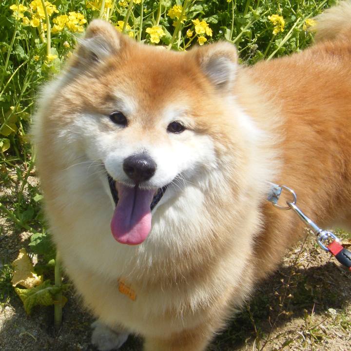 625af948 304f 487a 8dd0 553fca54e1a5 1518286989338