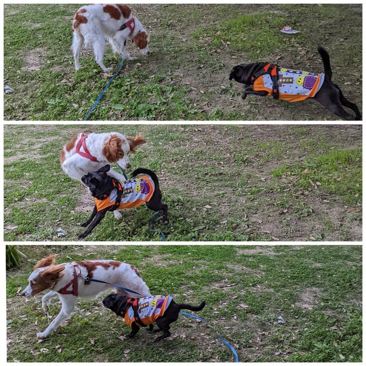 625b05f5 a8de 4507 95bb e8e439c09ea7 1636187183680