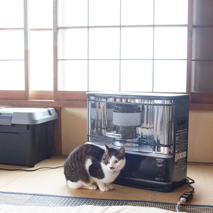 625b1736 08a1 4619 871f ed0d8348c1ca 1548677573518