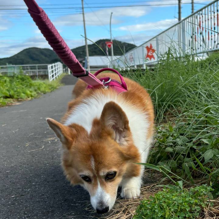 625b2fb7 3ae2 46e3 b168 0d0fd698853e 1726445359521