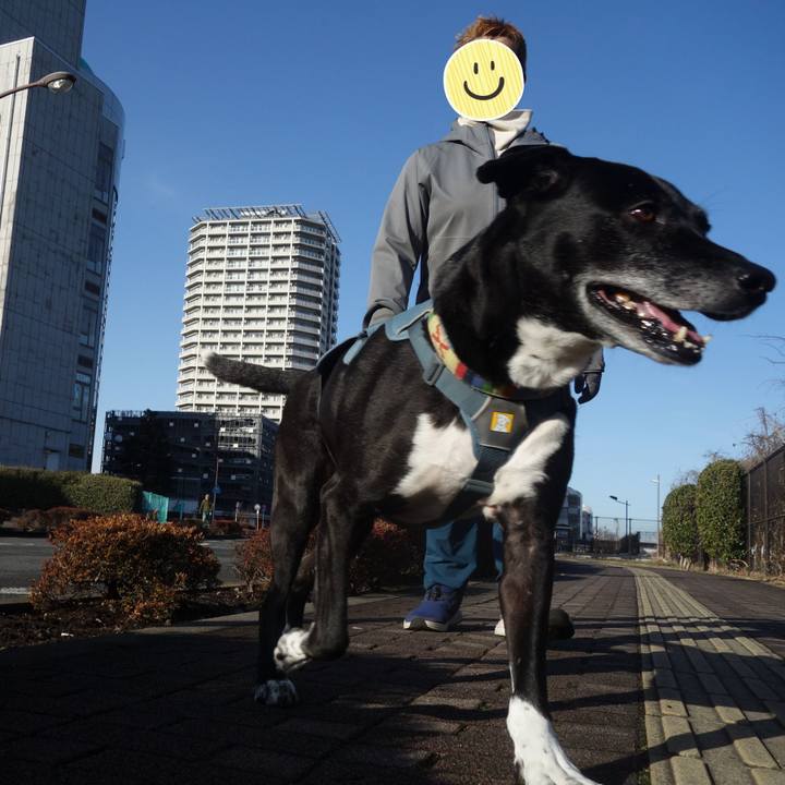 625b3bdc 4a6f 40e7 8583 bacf57f6c2d5 1708740006370