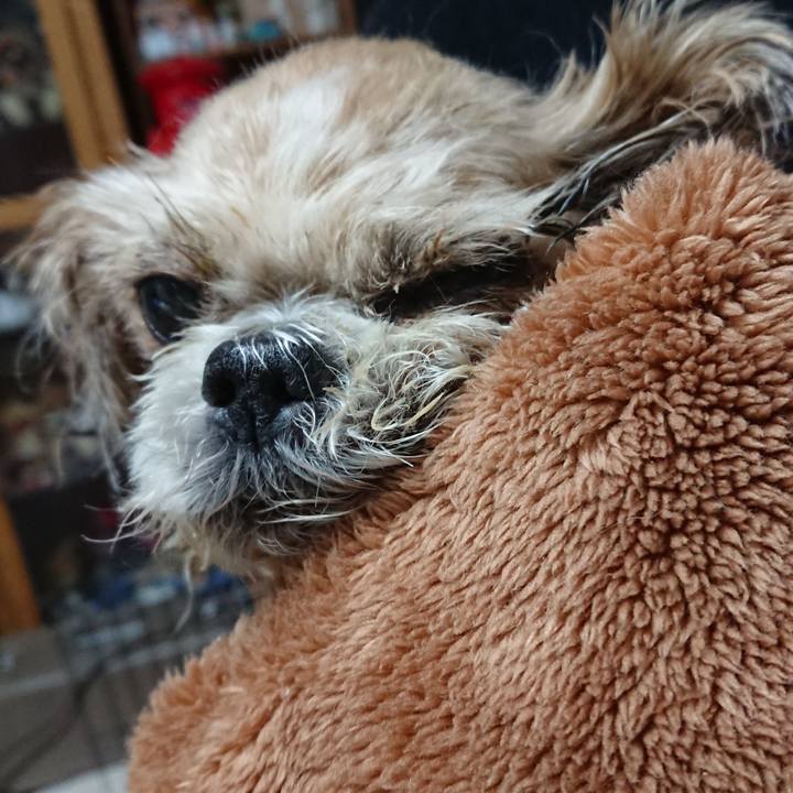 625b4613 c53d 456e 85d4 9ee7b0796994 1537869569683