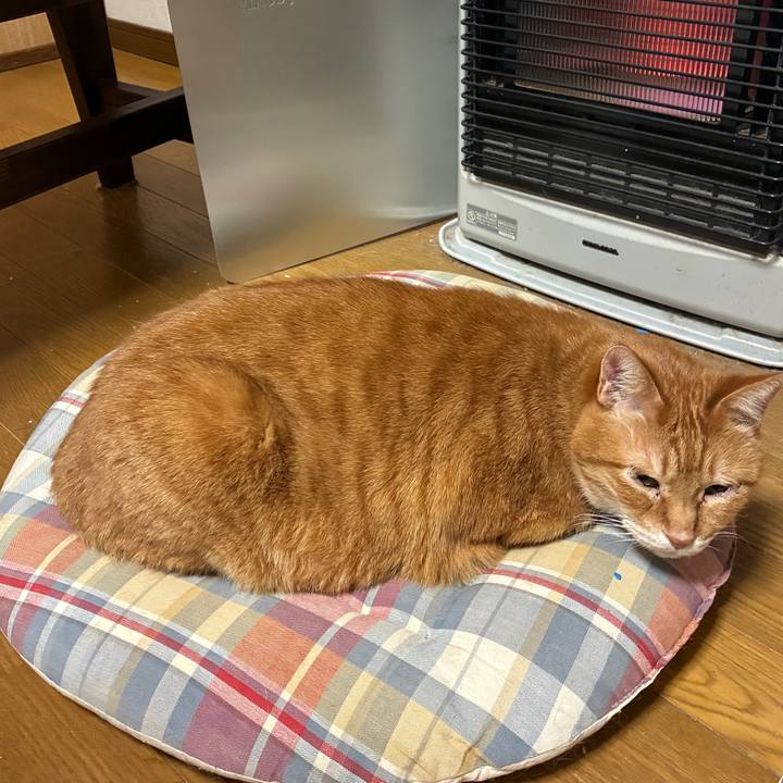 625b47b7 b95c 4a7b 9e25 df68407a9ae8 1769689591965