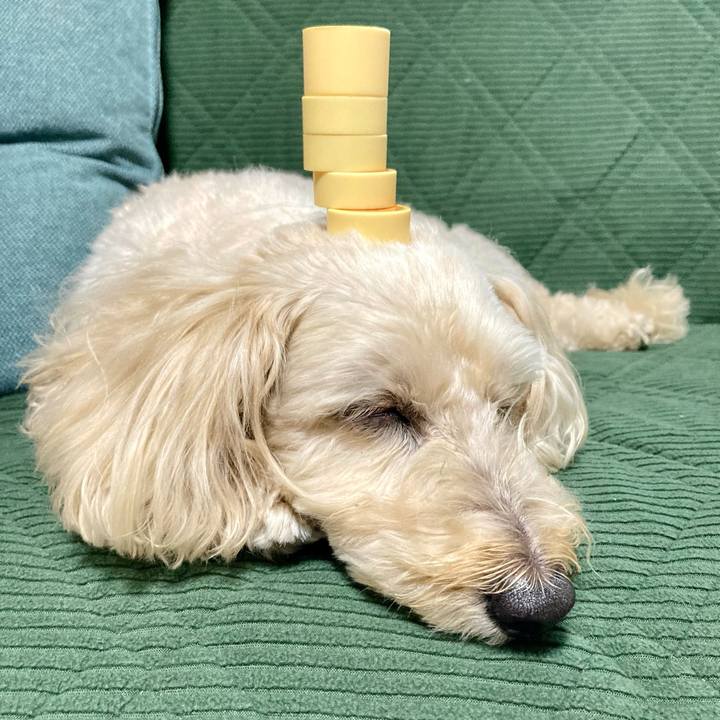 625b8277 682b 41ea a274 046f4bfc064e 1763107682645