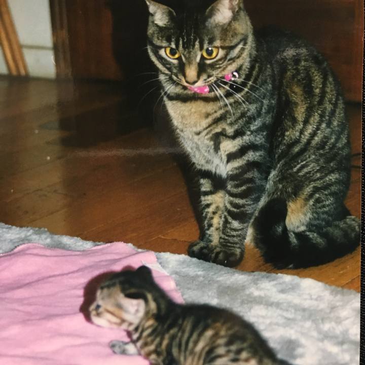 625b8f15 72dc 49f5 96b2 bee96d9a2117 1524387776898