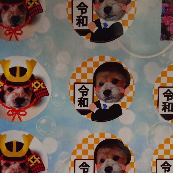 625bc024 189e 460e be73 254ebdac2d1d 1593078480082