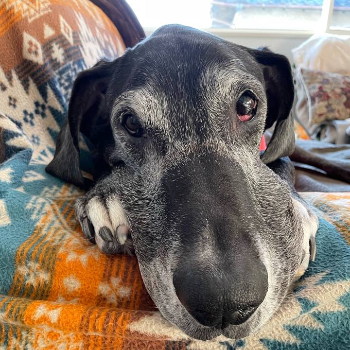 625befdf 5a75 4861 8a73 3a386c6d5b55 1642459163699