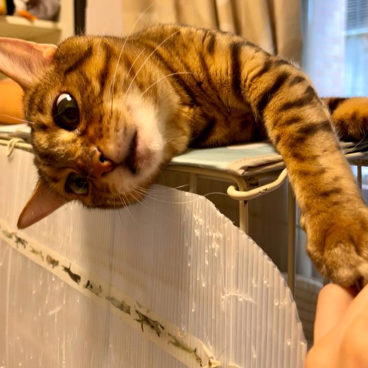 625c0c0b ff39 469f aac8 3bb723bd07bc 1658894335164