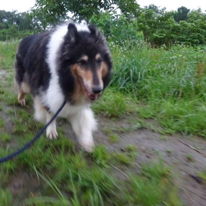 625c255d 4b75 447c bafc 46f888c4cec1 1594301302217