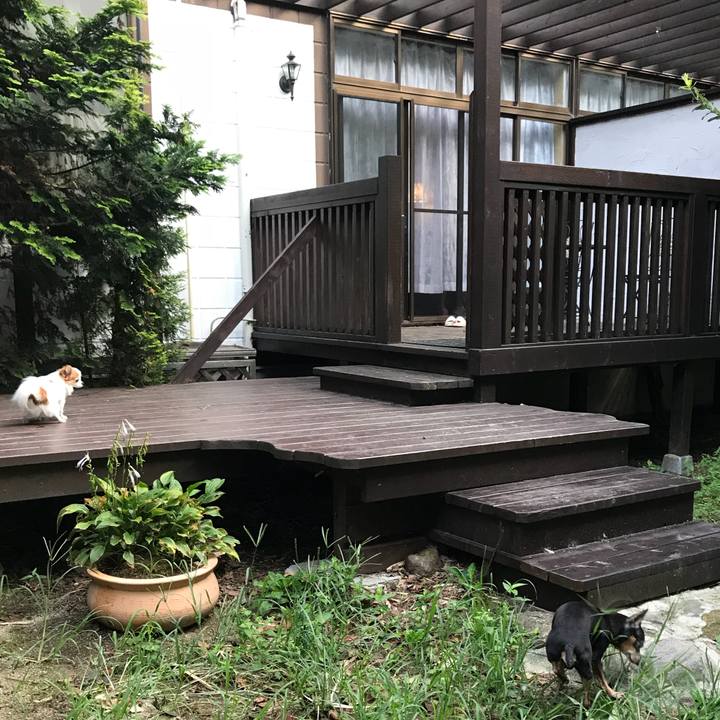 625c4cb4 978c 4737 a0d4 3a172033cff4 1537186126983