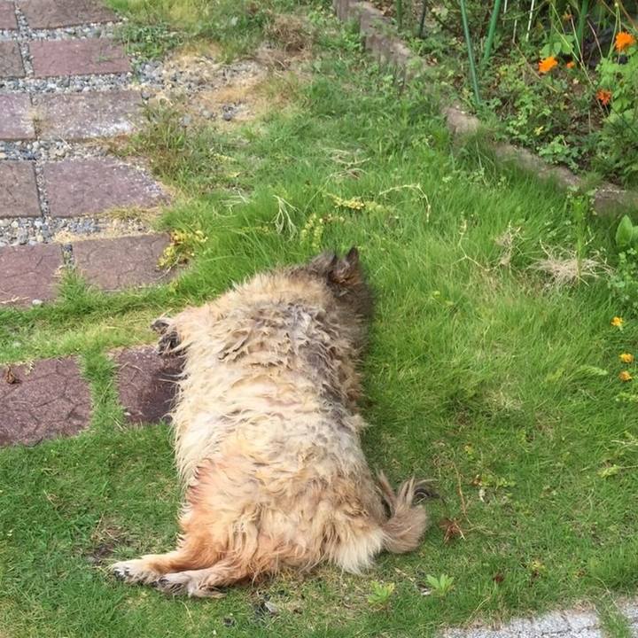 625c9932 9d4e 4bbc a171 364da557ec15 1565669762235