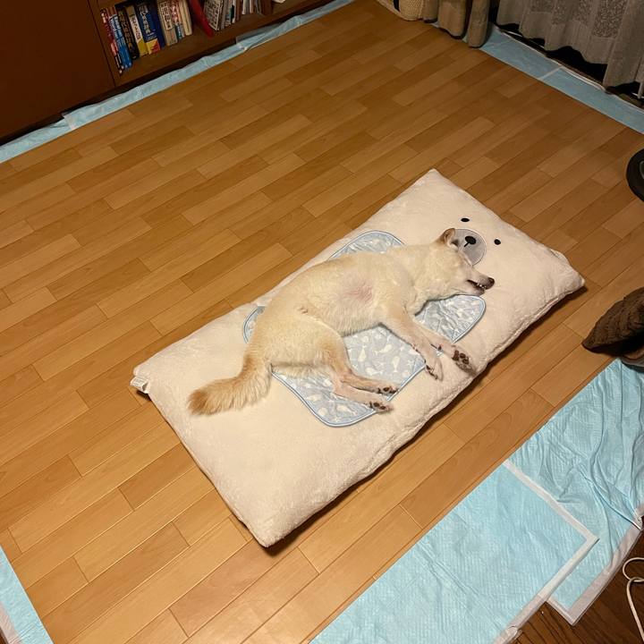 625ca1df 10c8 4490 84fc 6afca4274302 1661689871982