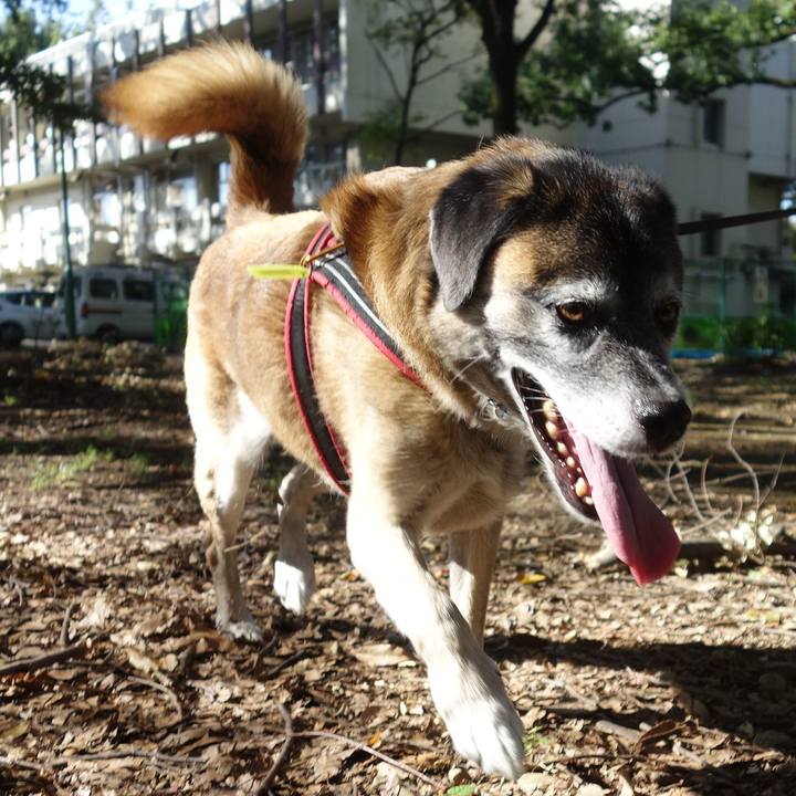 625ca267 ce3a 4fcc 9fda 3dd17b749d3f 1538875927761