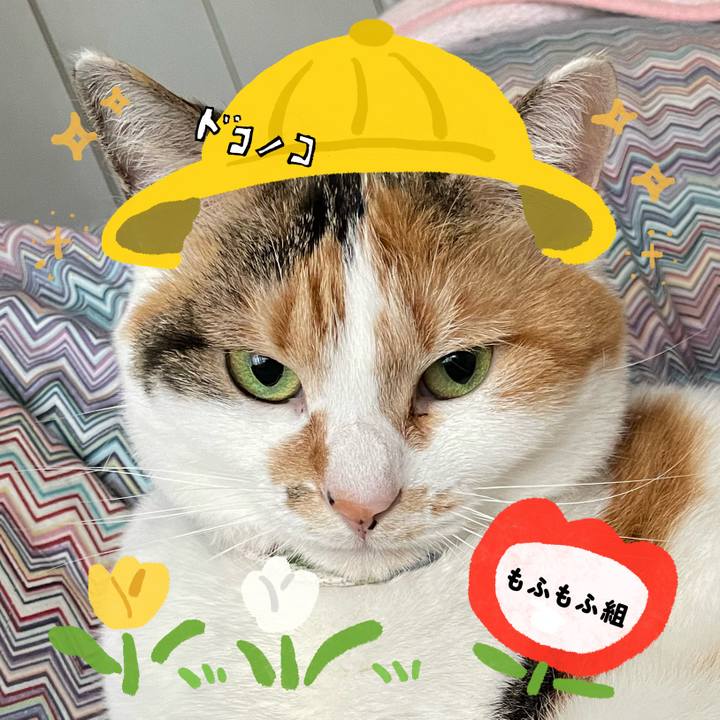 625ca81d ea44 4f67 bcb5 d8df7a70812d 1712387863063