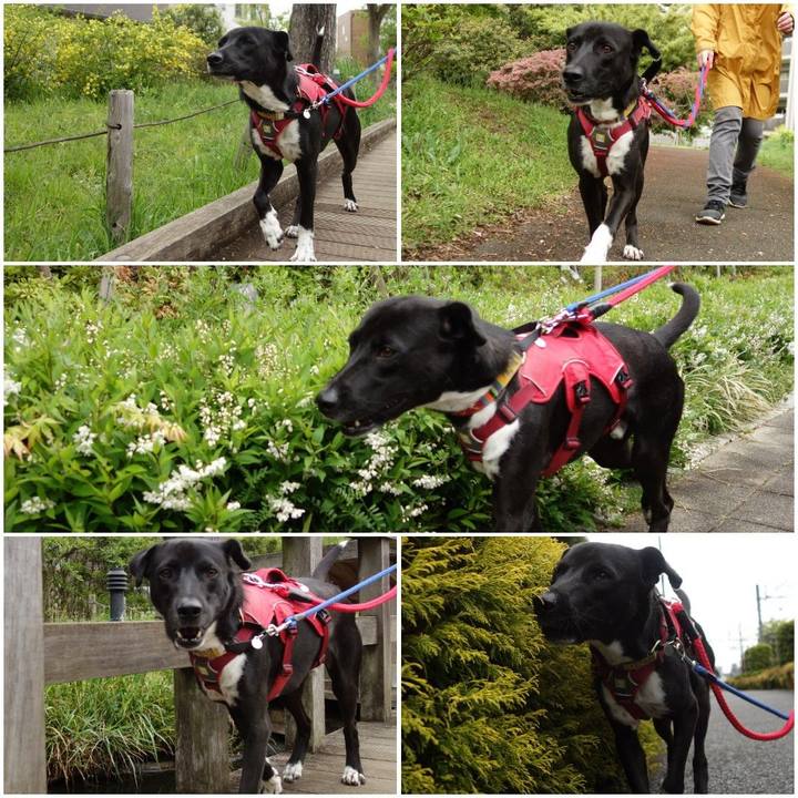 625cbf71 2b11 467d a4fc a4dfbeb30e8d 1587087611803