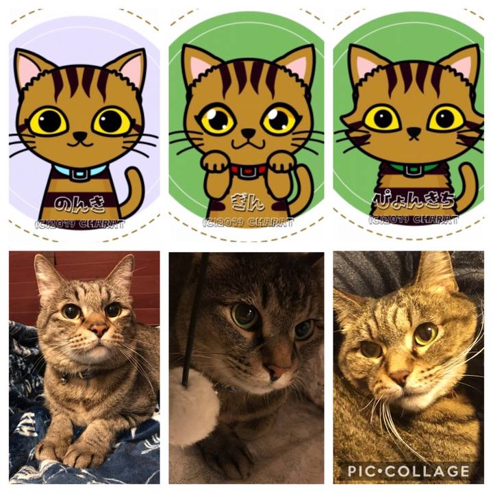 625cec15 c814 4828 8c57 42540c9e4871 1560582805640