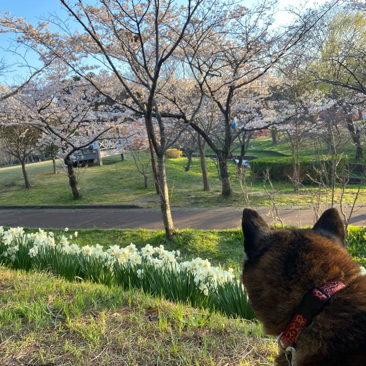 625d0765 b20b 4f49 b4d2 a12302510c62 1680518046561