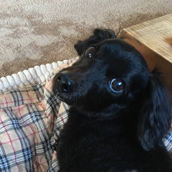 625d0eee f30c 414a 881e 89d93b88cbe5 1525302278746