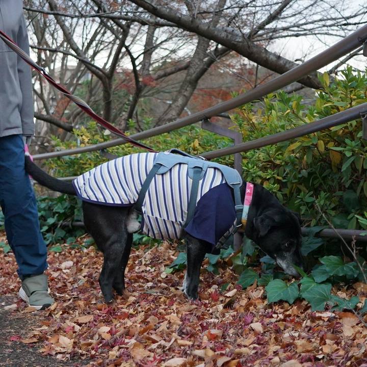 625d72ac 04a1 4f61 bd34 b997891d6db5 1766362927309