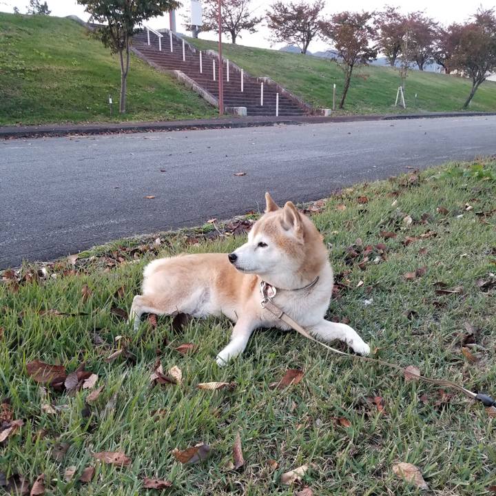 625e0a11 1a66 4295 a9bd d6b44cd627b1 1697616291003