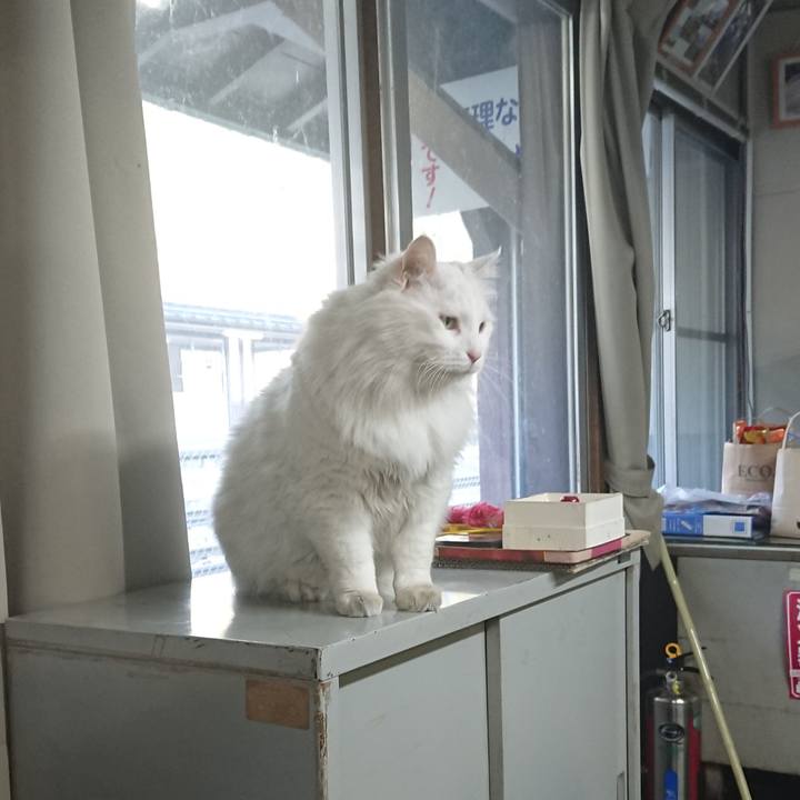 625e16a3 a7d3 470a b46c 518d28c8198d 1522103389775