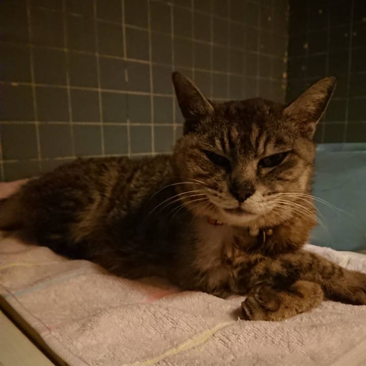 625e468b 2a2a 41af b297 1031fc3479a3 1596709016356