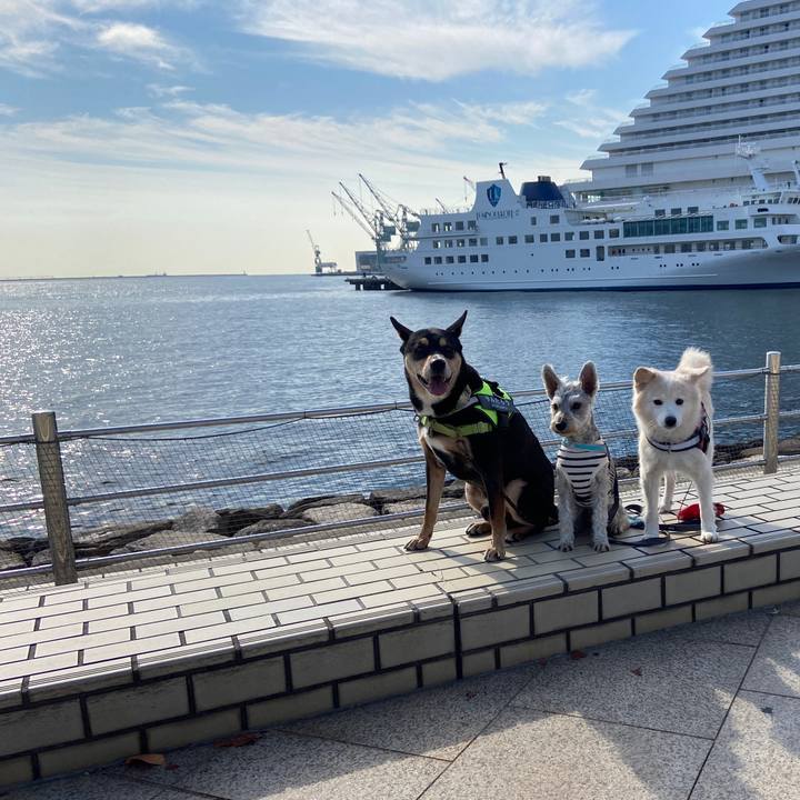 625e6011 c9dd 4268 800e e99ca4267847 1668835901859