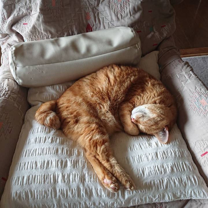 625ec9fe 9228 4d33 b66f f352851c4054 1591249616626