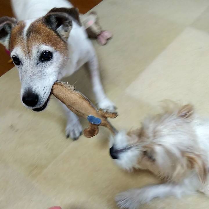 625eddb7 fc94 4293 ab05 2c83fac466d8 1557958097287