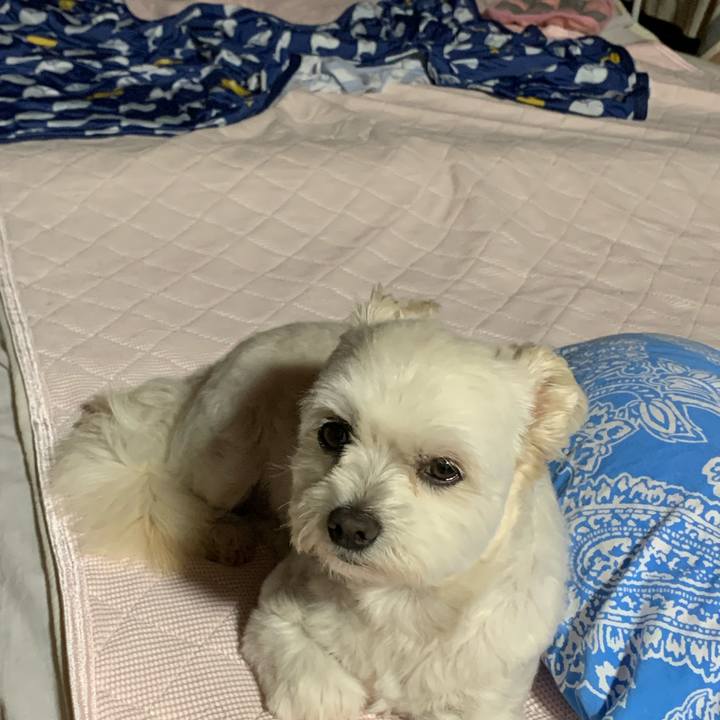 625fc181 575d 4454 8b49 3d009f396c03 1623581420081